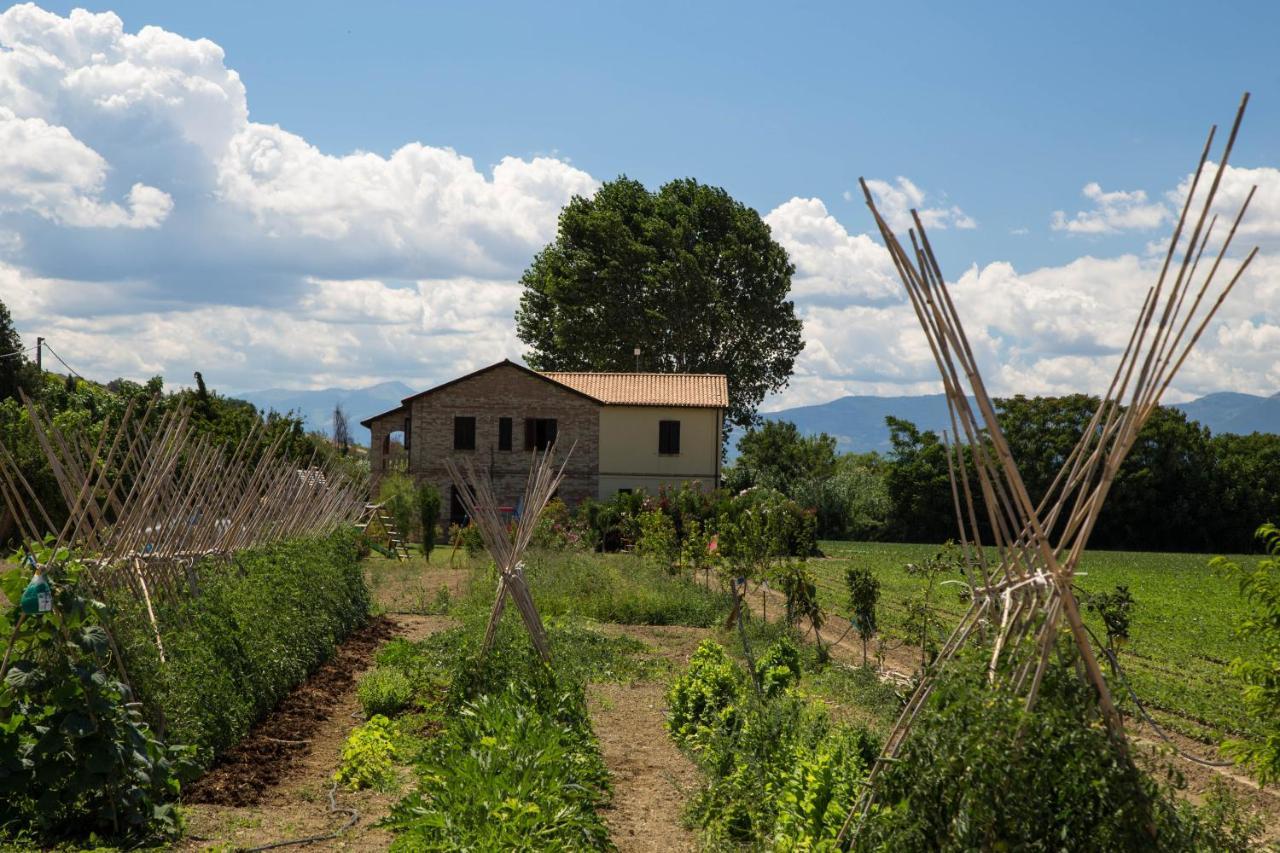 Agriturismo Terralieta Roseto Degli Abruzzi Exterior photo